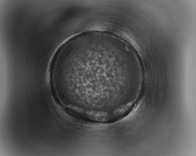 X0000093470779200710121424