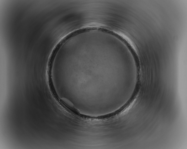 X0000093470783200710121424
