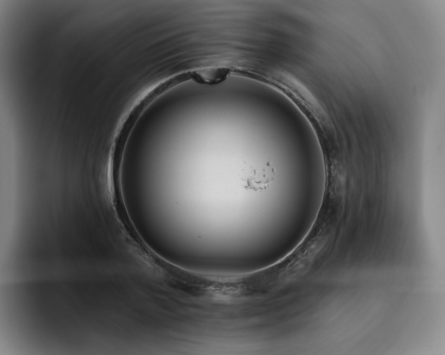 X0000093470788200710121424
