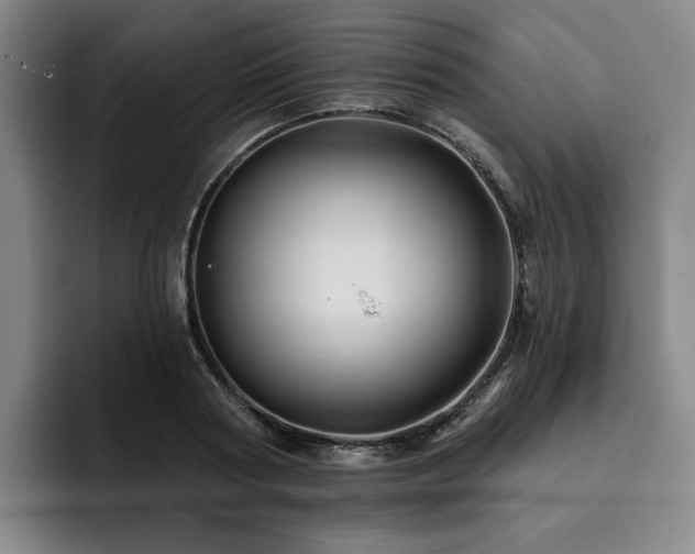 X0000093470794200710121424