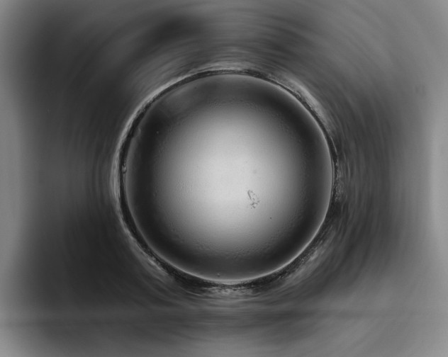 X0000093470795200710121424