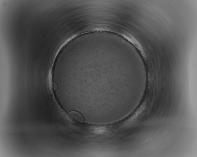 X0000093470798200710121424