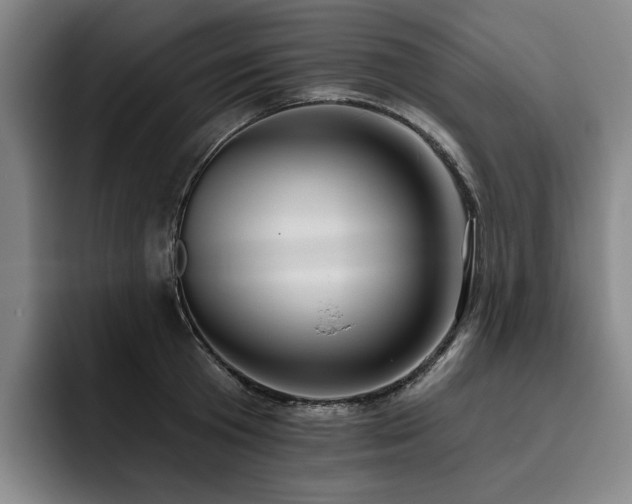 X0000093470801200710121424
