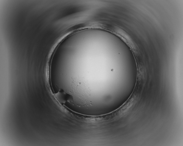X0000093470804200710121424