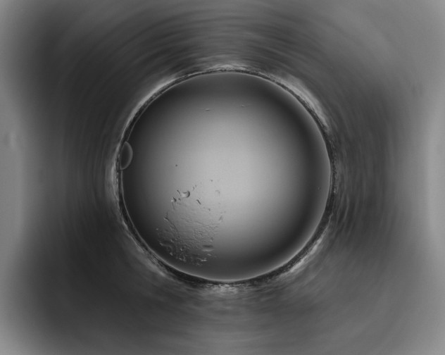 X0000093470806200710121423