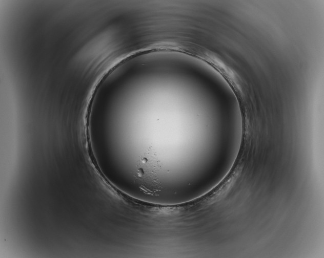 X0000093470808200710121423