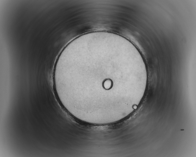 X0000093470810200710121423