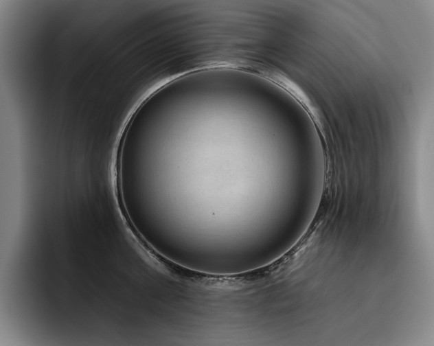 X0000093470811200710121423