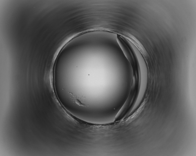 X0000093470812200710121423