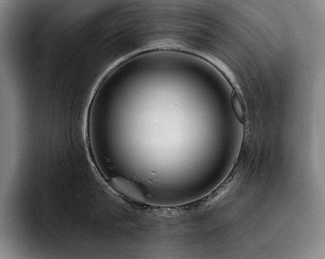 X0000093470815200710121423