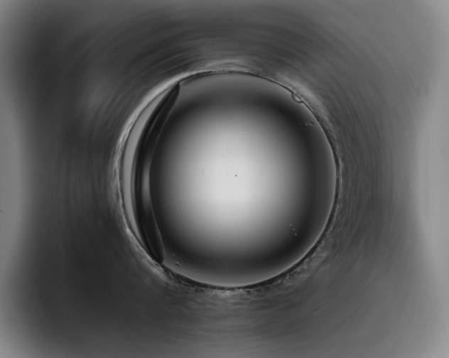 X0000093470816200710121423