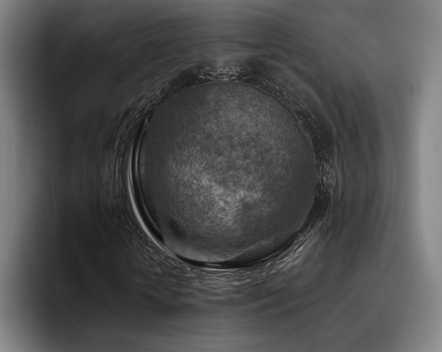 X0000093470818200710121423
