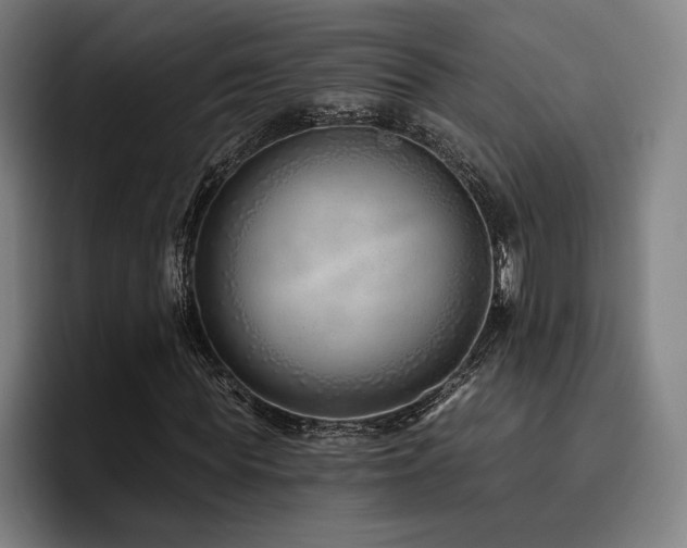 X0000093470819200710121423