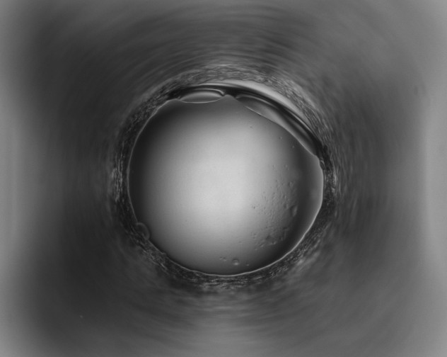 X0000093470821200710121423