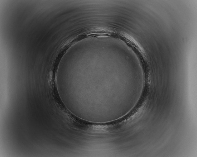 X0000093470825200710121423