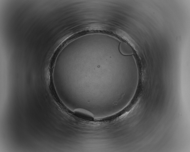 X0000093470829200710121423
