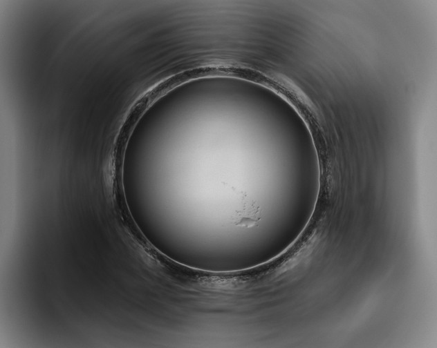 X0000093470831200710121423