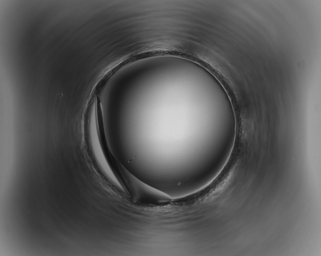 X0000093470834200710121423