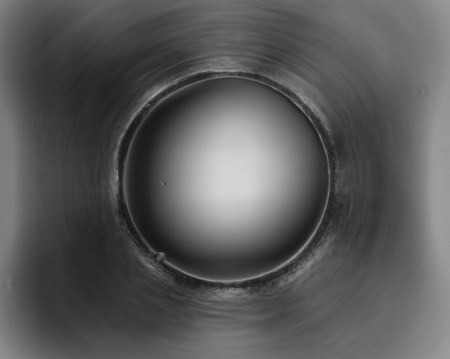 X0000093470837200710121423