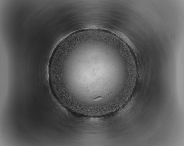 X0000093470839200710121423