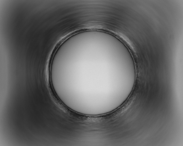 X0000093470840200710121423