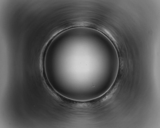 X0000093470843200710121423