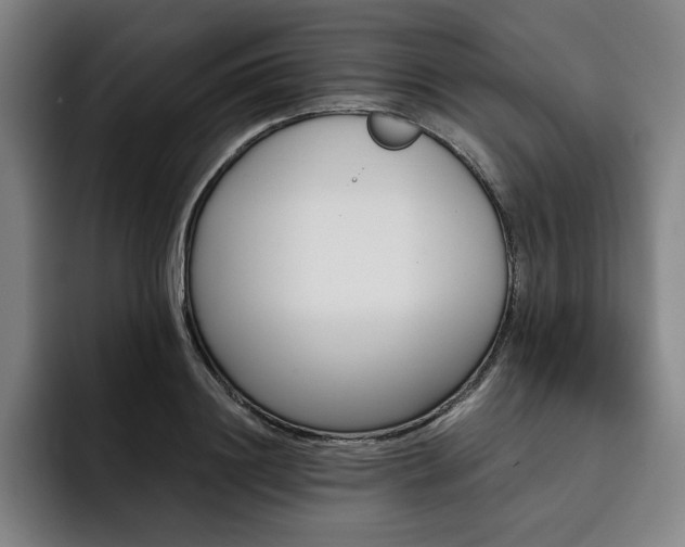 X0000093470844200710121423