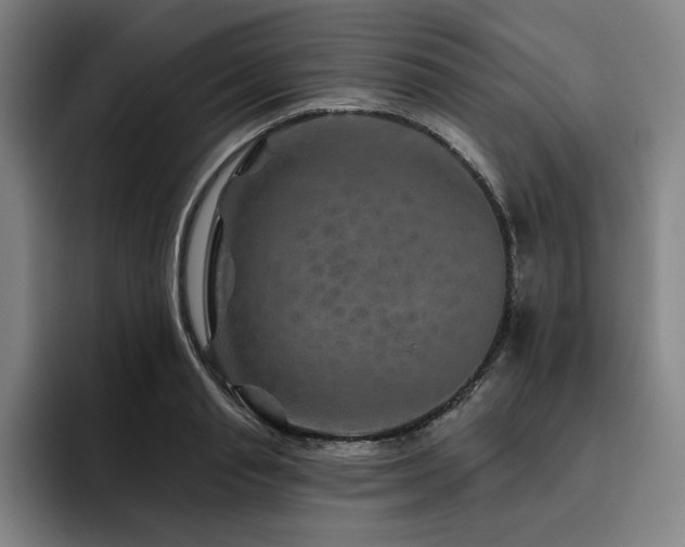 X0000093470845200710121423