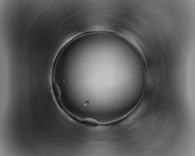 X0000093470847200710121423