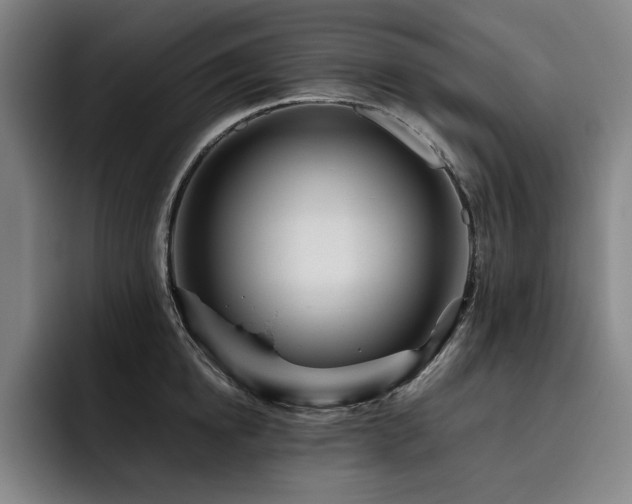 X0000093470854200710121423