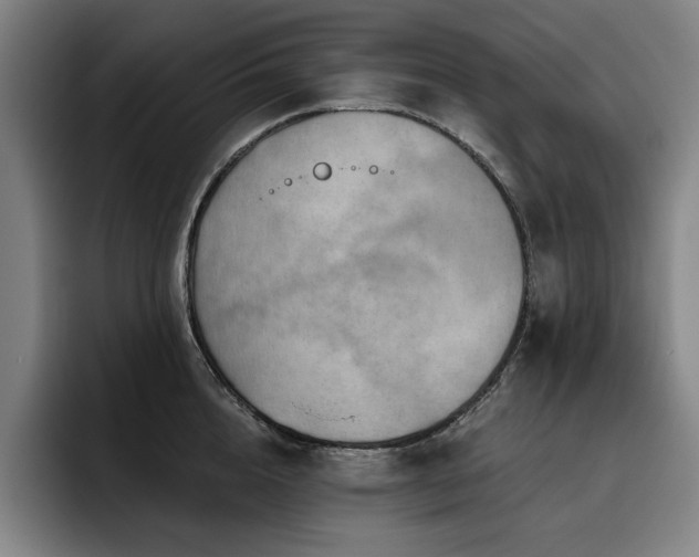 X0000093470856200710121423
