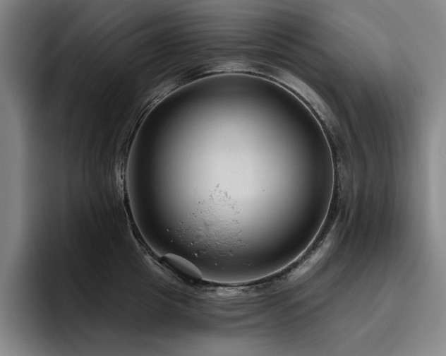 X0000093470857200710121423