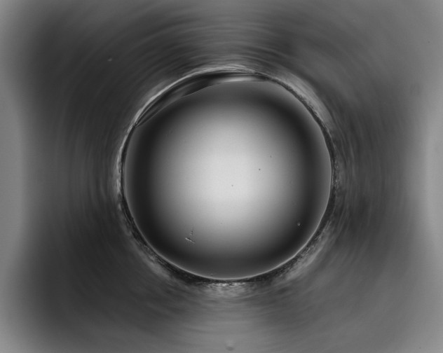 X0000093470858200710121423