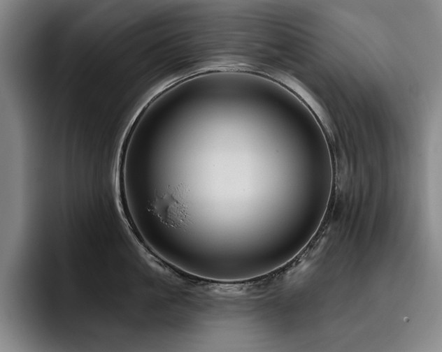 X0000093470861200710121423