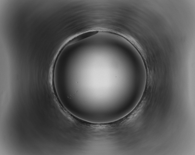 X0000093470862200710121423