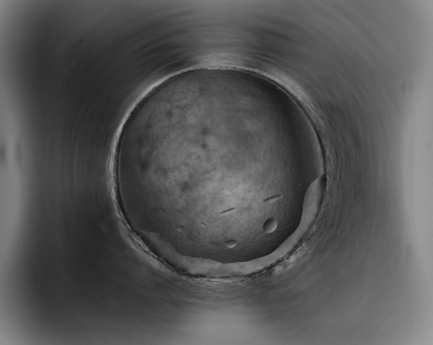 X0000093470864200710121423