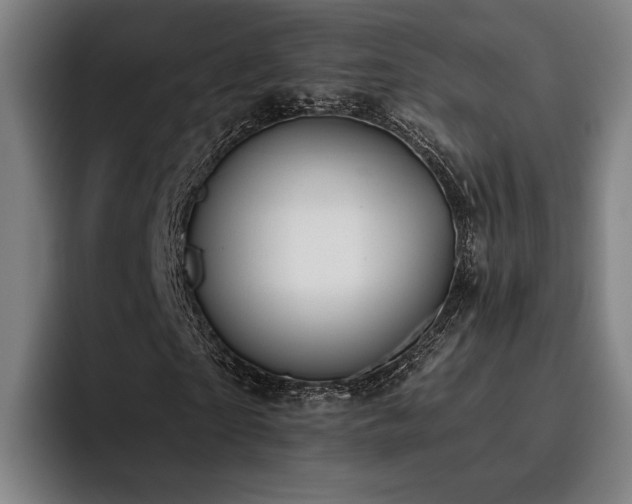 X0000093470865200710121423