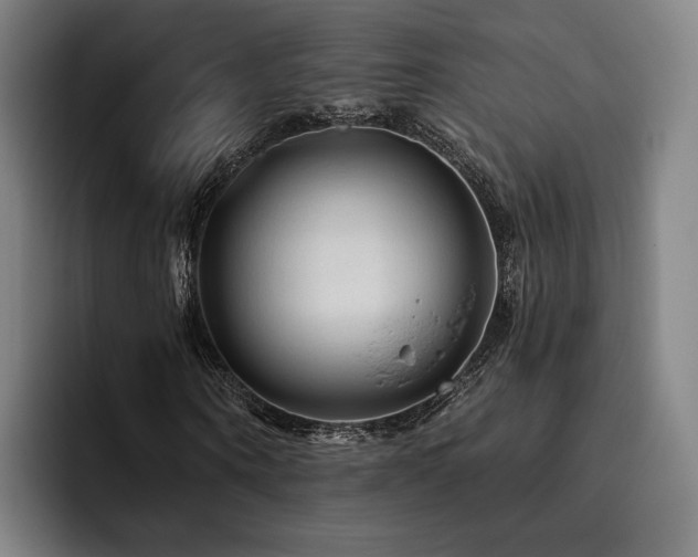 X0000093470866200710121423