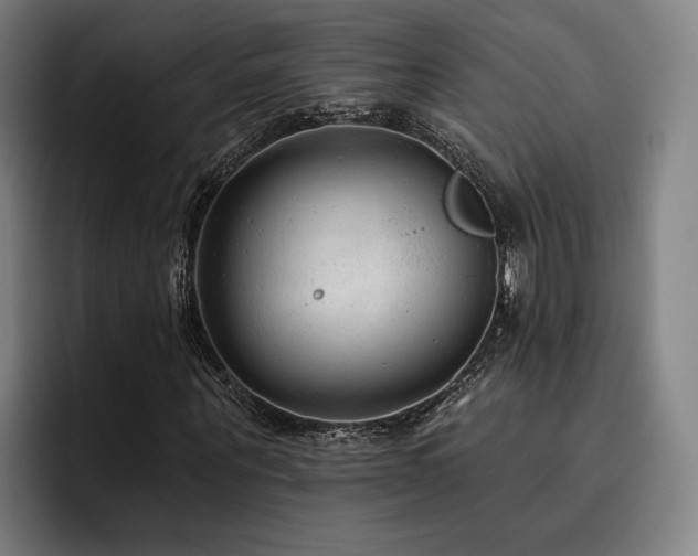 X0000093470867200710121423