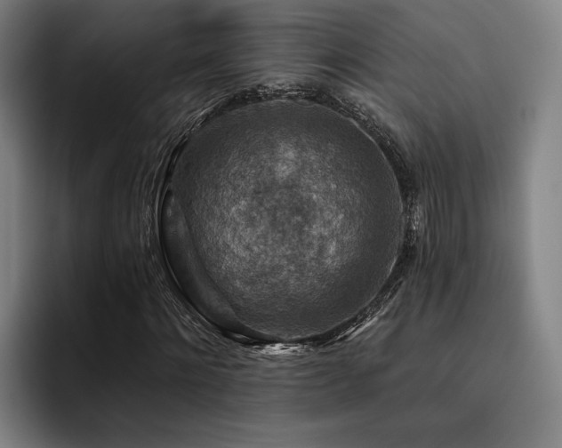 X0000093470868200710121423