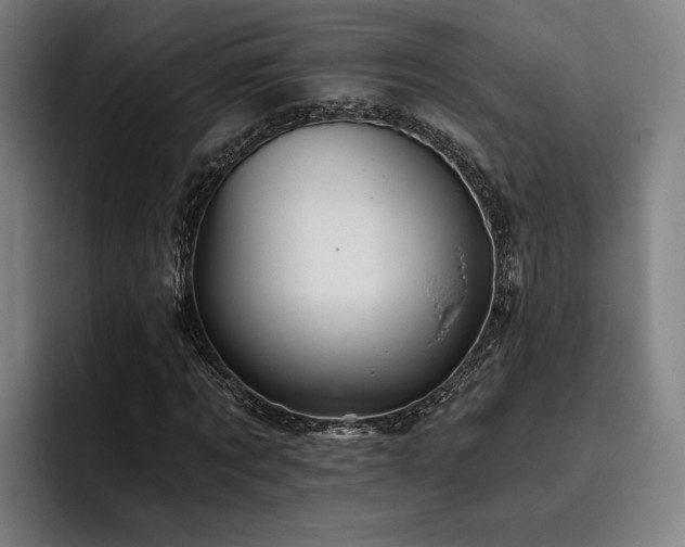 X0000093470869200710121423