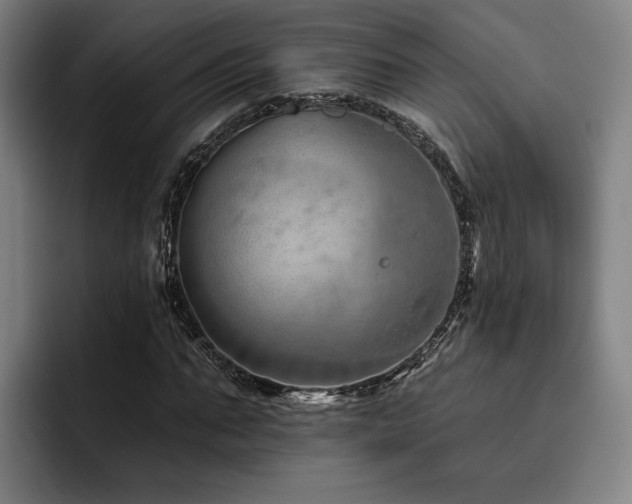 X0000093470871200710121423