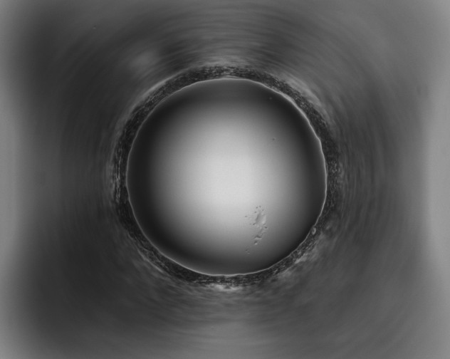 X0000093470872200710121423