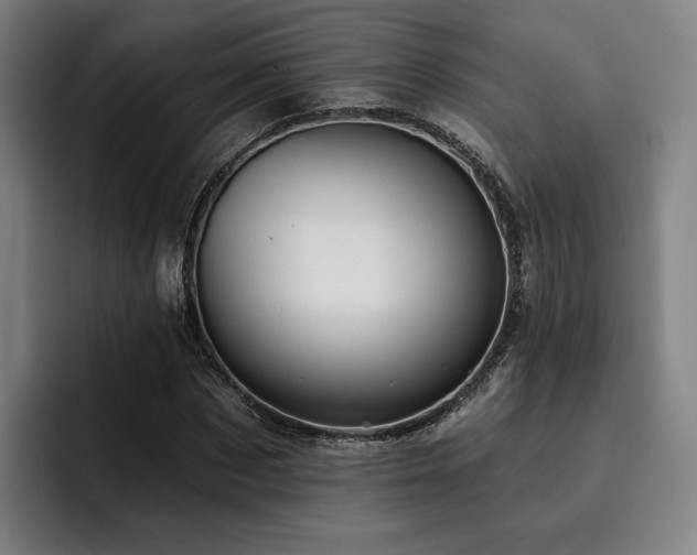 X0000093470873200710121423