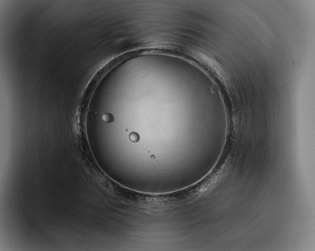 X0000093470875200710121423