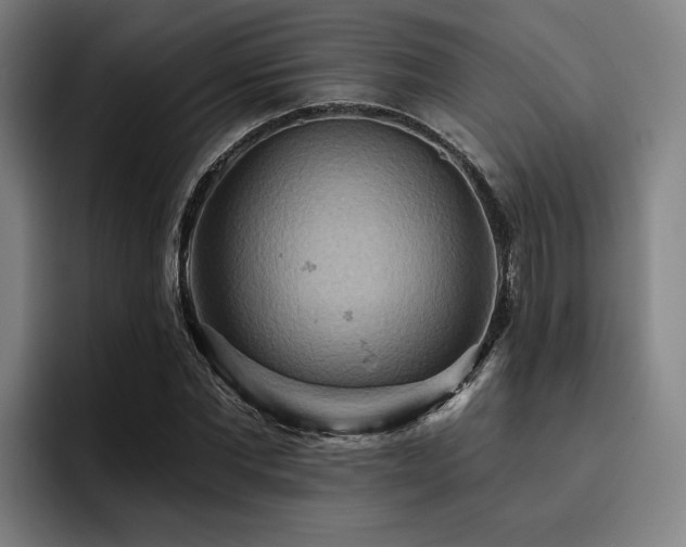 X0000093470877200710121423