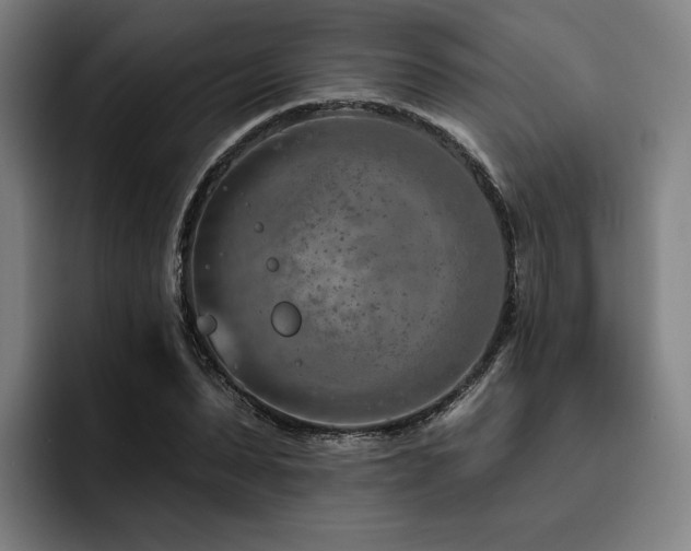 X0000093470879200710121423