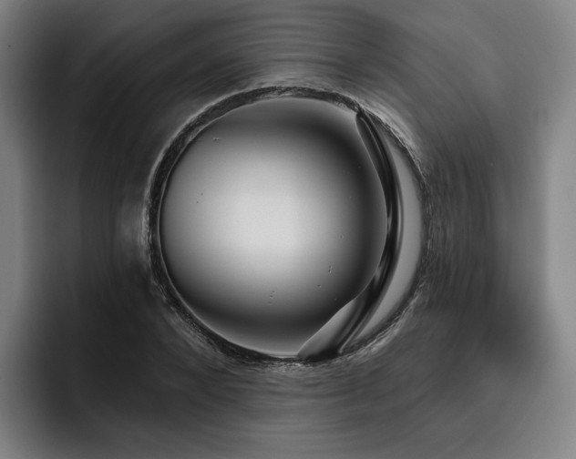 X0000093470880200710121423