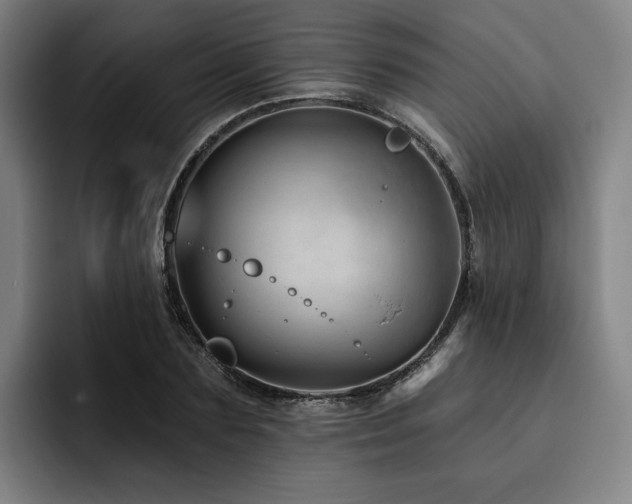 X0000093470883200710121423
