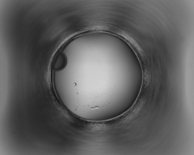 X0000093470886200710121423